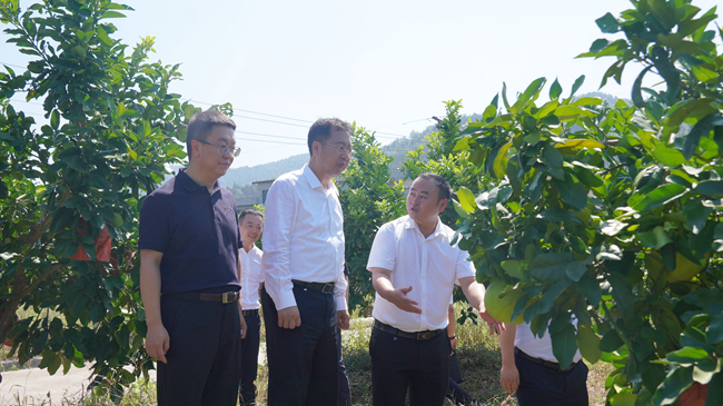 中国尊龙凯时人生就是博党委书记、董事长赵晓晨赴贵州思南调研集团定点帮扶工作